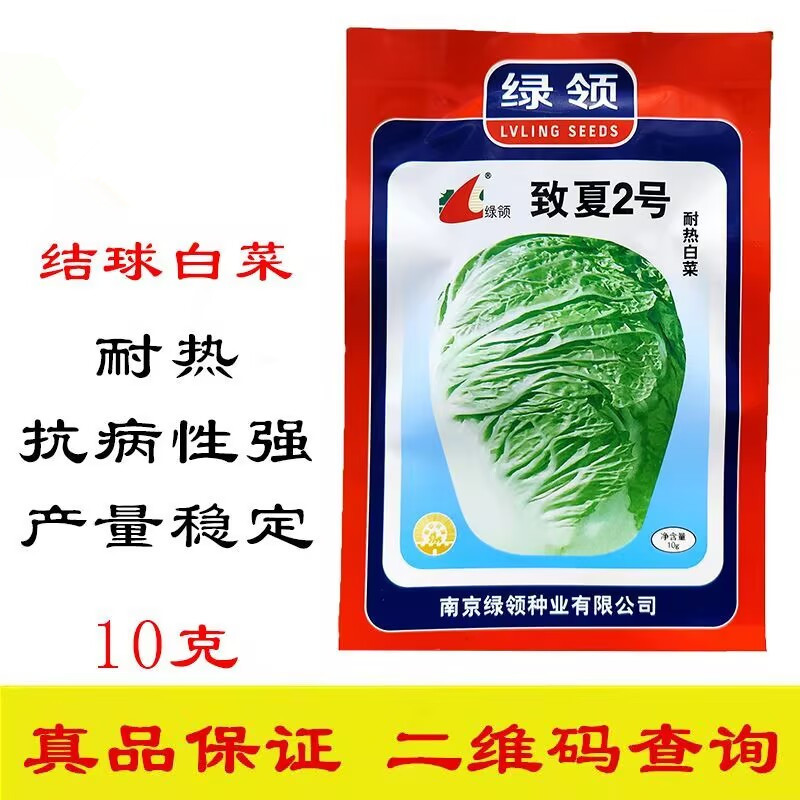 致夏2号耐热白菜种子耐热抗病单球重1.5公斤左右