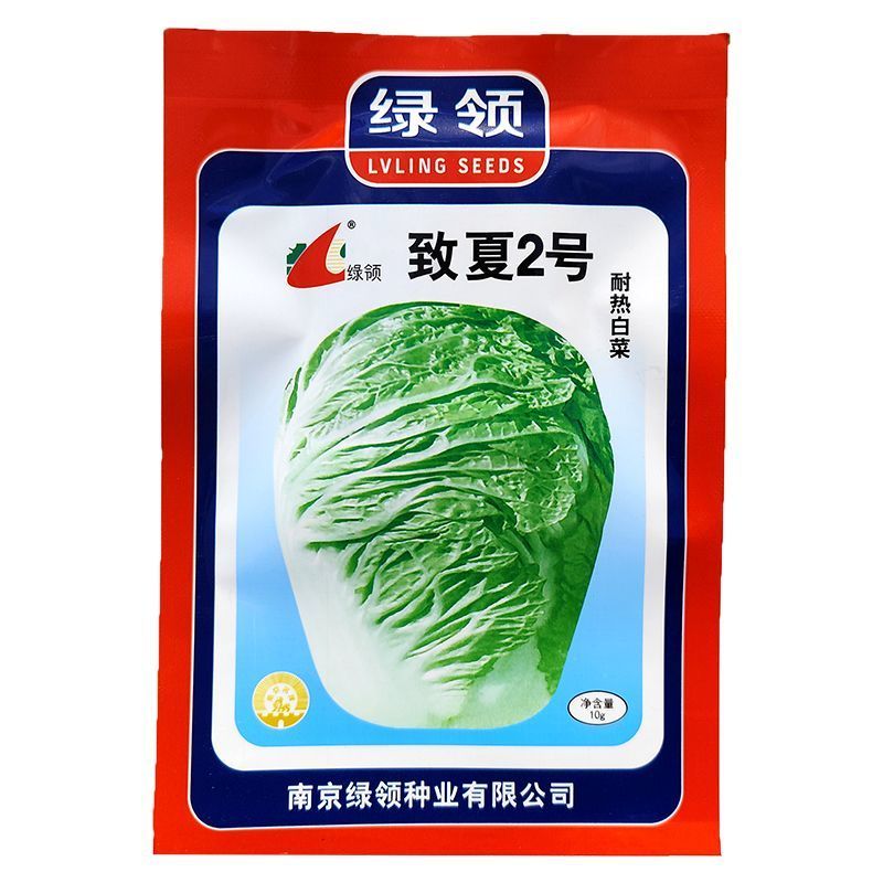 致夏2号耐热白菜种子耐热抗病单球重1.5公斤左右