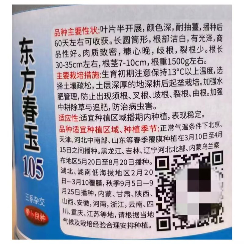 东方春玉萝卜种子花叶白萝卜种子长圆筒形耐抽苔