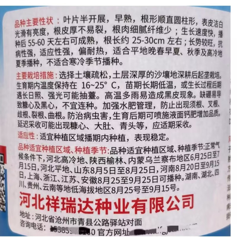 洁如意303白萝卜种子早熟耐热耐裂抗病洁白光滑有亮度