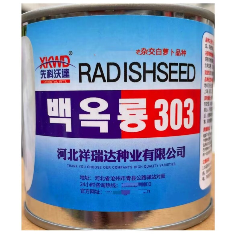 白玉龙303萝卜种子三系杂交圆筒形根皮光滑肉质白