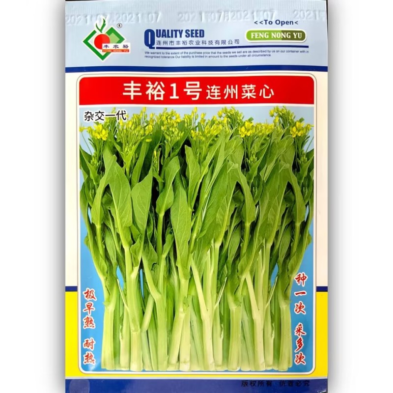 丰裕1号连州菜心种子早熟耐热主苔粗侧苔萌发多而快