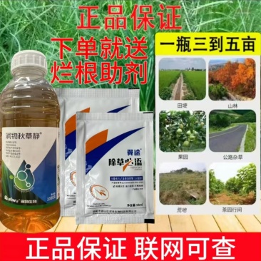 精草铵膦果园茶园恶性杂草牛筋草芦苇小飞蓬水花生节节草