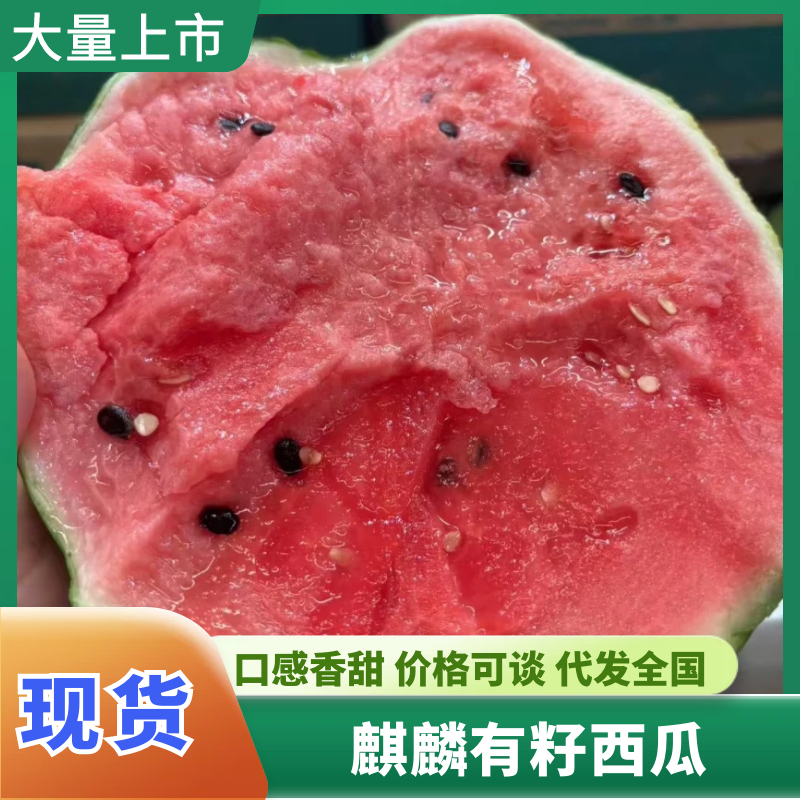 麒麟西瓜精品西瓜皮薄多汁现摘现发供应市场电商商超