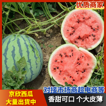 京欣西瓜河北西瓜河北京欣西瓜皮薄多汁商超品质