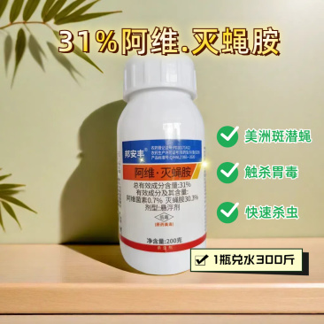 31%阿维灭蝇胺美洲斑潜蝇地图虫鬼画符潜叶蝇果实蝇农药