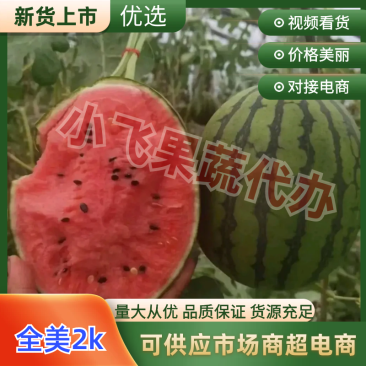 全美2K西瓜冰淇淋小糖丸新民小吊瓜手掰西瓜产地直发