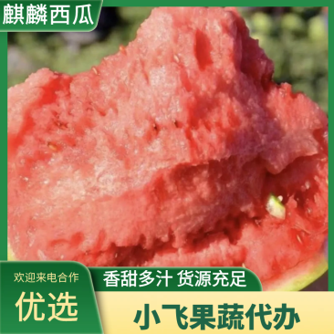 保定麒麟西瓜无籽西瓜大棚西瓜头茬麒麟瓜产品批发代发全国