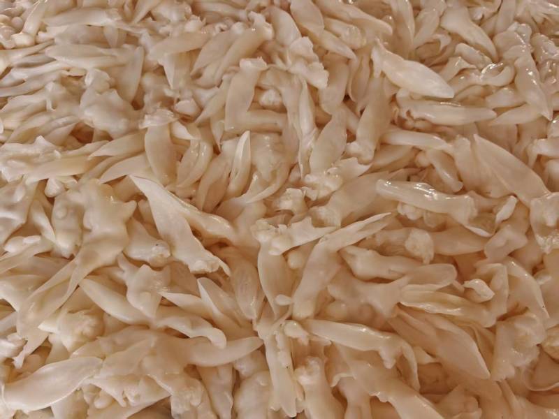 兔耳朵厂家货源大量供应宠物食品专用欢迎电话联系