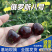 俄罗斯8号大樱桃/艺术家俄8樱桃/个头大甜度高/果园现摘
