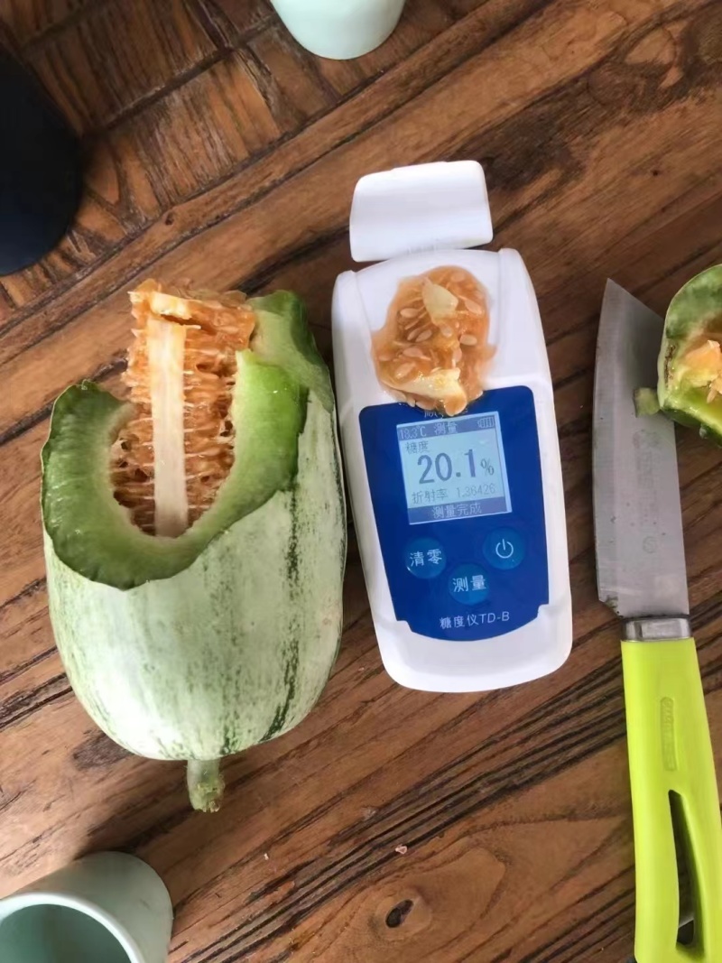 推荐酥香蜜88甜瓜苗皮薄肉厚口感好作果多成活率高价格实惠