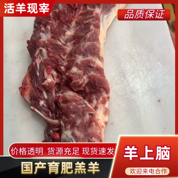 【羊上脑】新鲜羔羊羊上脑大量现货供应，规格齐全，代发全国