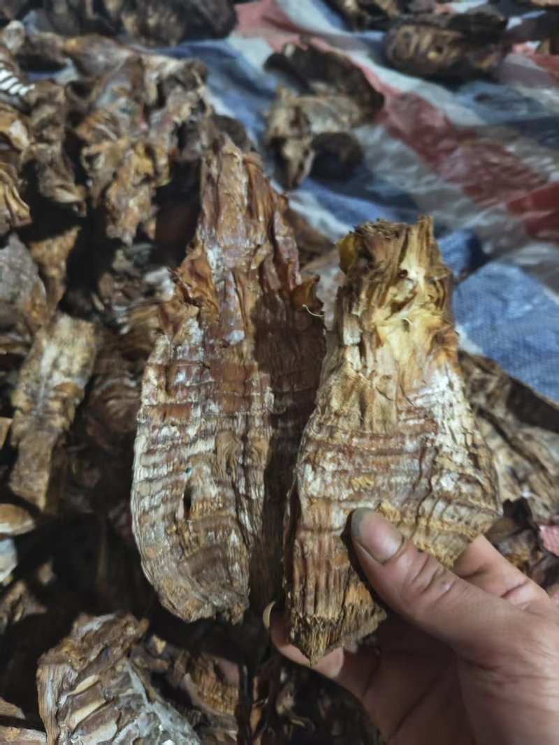 精品笋干大量供货健康放心诚信经营量大从优致电联系
