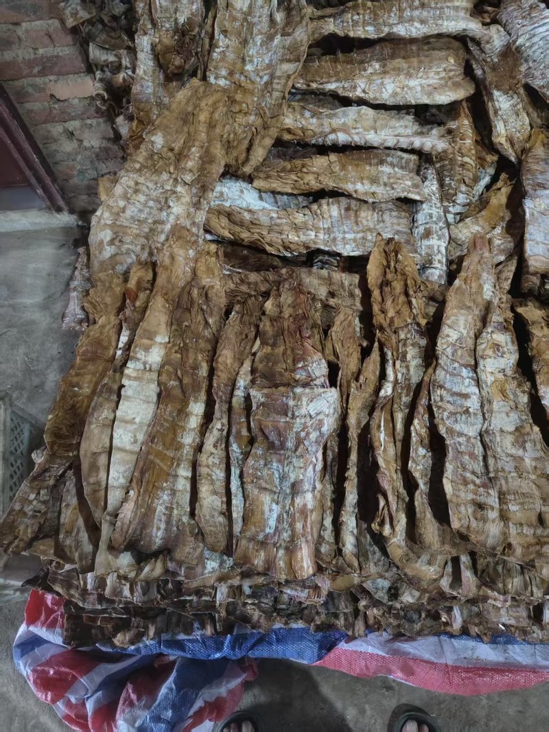 精品笋干大量供货健康放心诚信经营量大从优致电联系