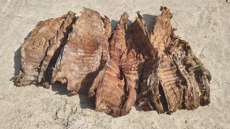 精品笋干大量供货健康放心诚信经营量大从优致电联系