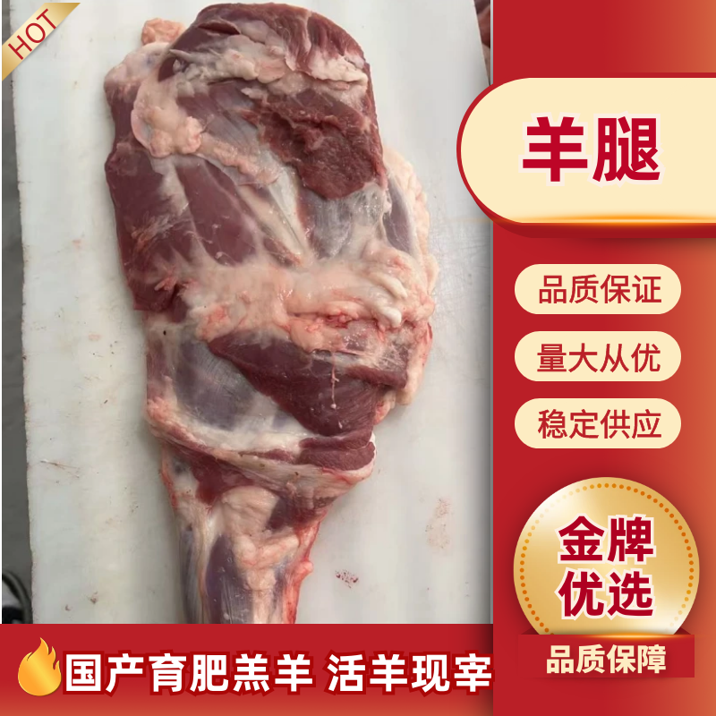 【羊腿肉】鲜杀羔羊后腿品质保证规格齐全，欢迎欢迎洽谈合作