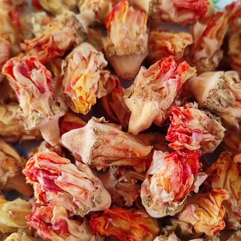 玉蓉花仙人掌花麒麟花产地货源一件代发