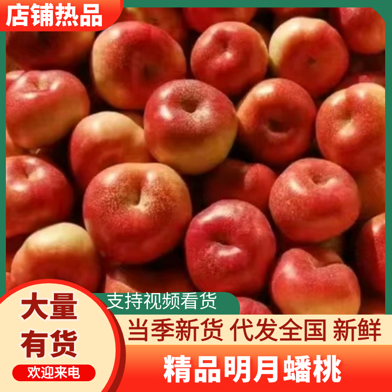 明月蟠桃产地发货量大从优质量保证欢迎咨询