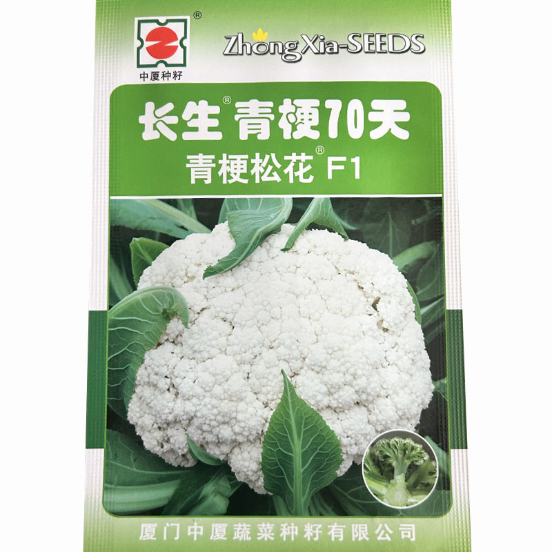 长生70天青梗松花菜种子白花散花耐热耐寒大田基地