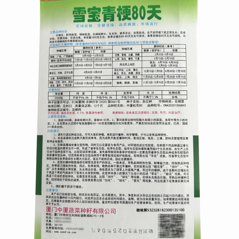 雪宝青梗80天青梗松花菜种子2000中晚生耐热夏秋种植