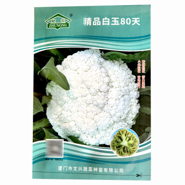 白玉80天青梗松花菜种子小米粒雪白大田基地种植