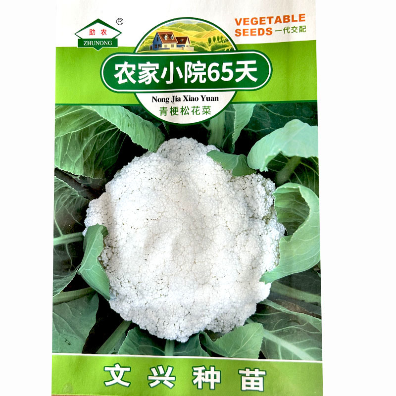 文兴种苗农家小院65天青梗松花菜种子白花球雪白梗浅绿色