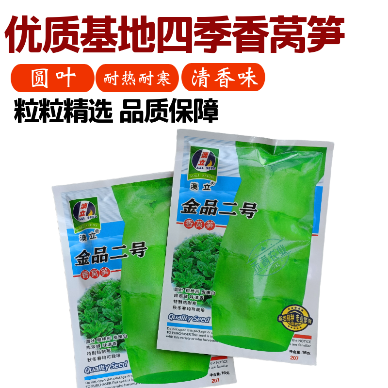 【夏季圆叶香莴笋种子】金品二号耐寒耐热高产嫩白皮绿肉春夏