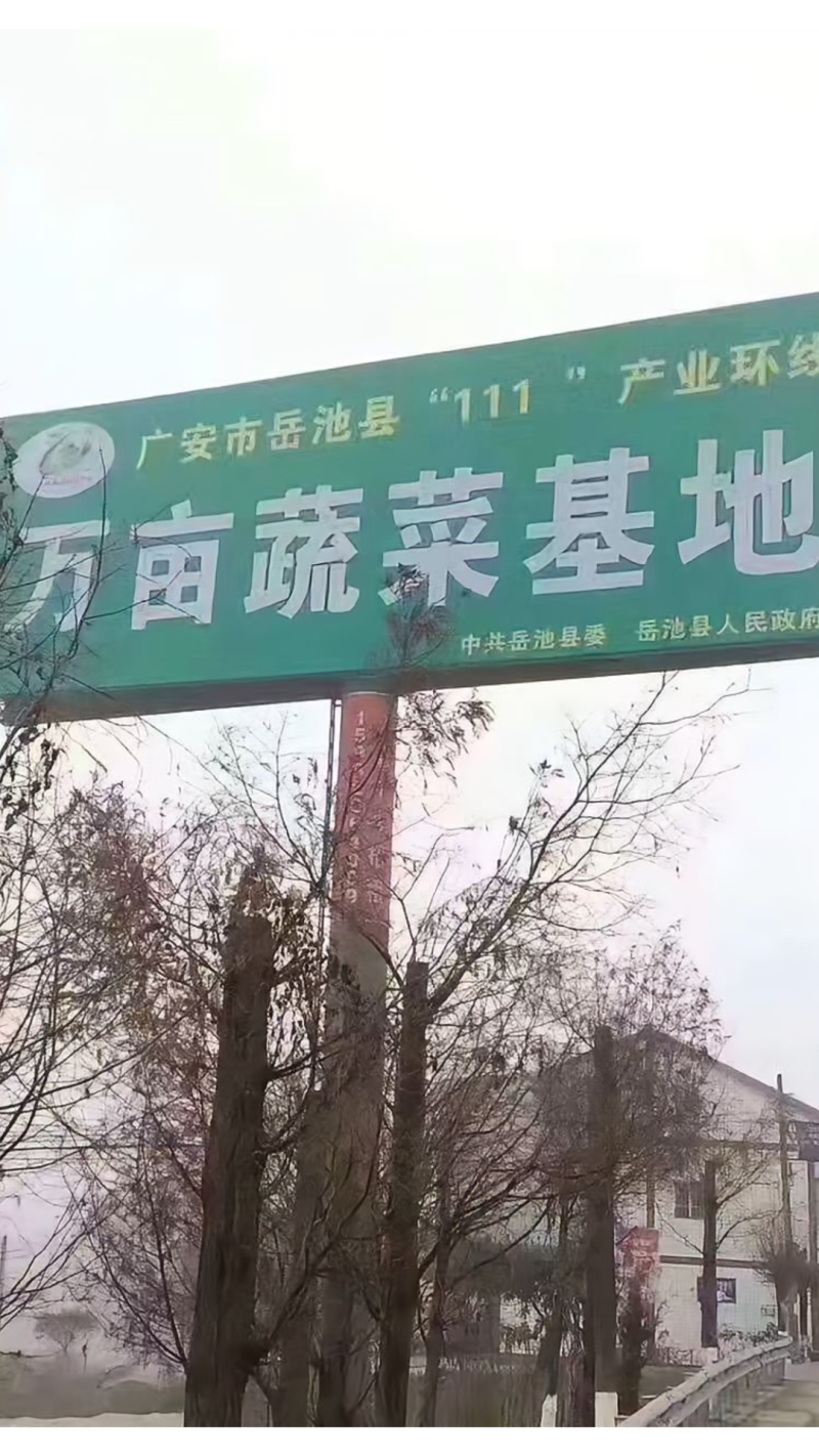 泡红圆椒老坛老盐水泡足260天