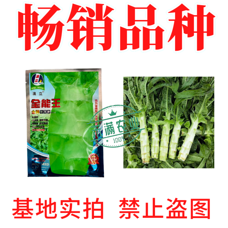 【夏季可种】全能玉尖叶香莴笋种子耐热耐寒四季播皮薄肉香莴