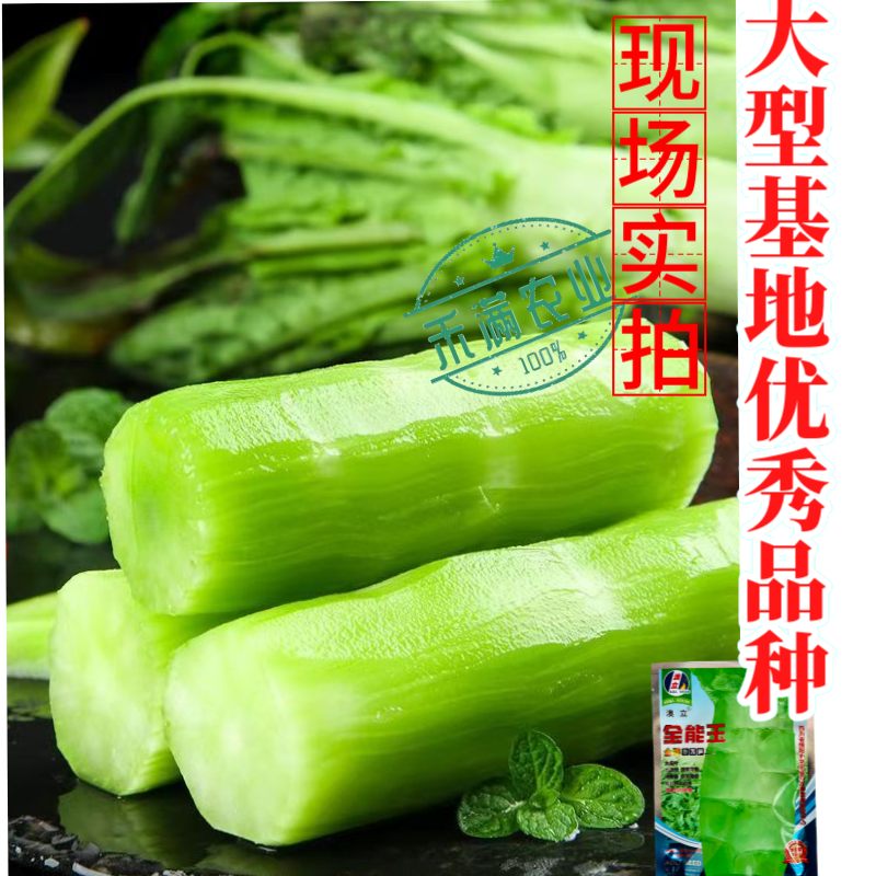 【夏季可种】全能玉尖叶香莴笋种子耐热耐寒四季播皮薄肉香莴