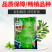 【夏季可种】全能玉尖叶香莴笋种子耐热耐寒四季播皮薄肉香莴