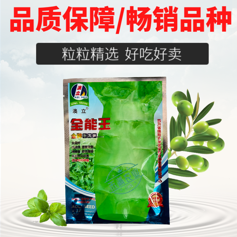 【夏季可种】全能玉尖叶香莴笋种子耐热耐寒四季播皮薄肉香莴