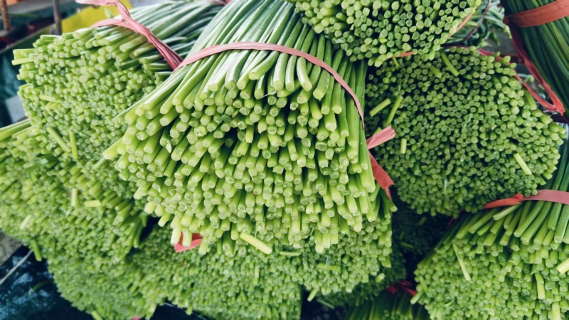 韭菜苔韮苔产地直销量大质优价格优惠一手货源欢迎咨询