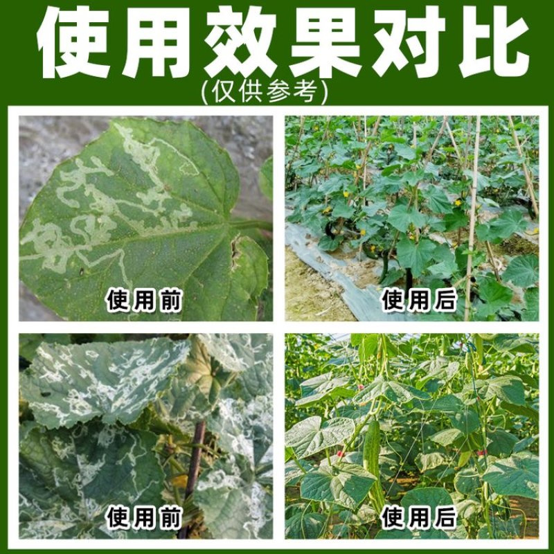 50%灭蝇胺黄瓜农药杀虫剂正品