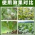 80%硫磺专治白粉病褐斑病农药杀菌剂