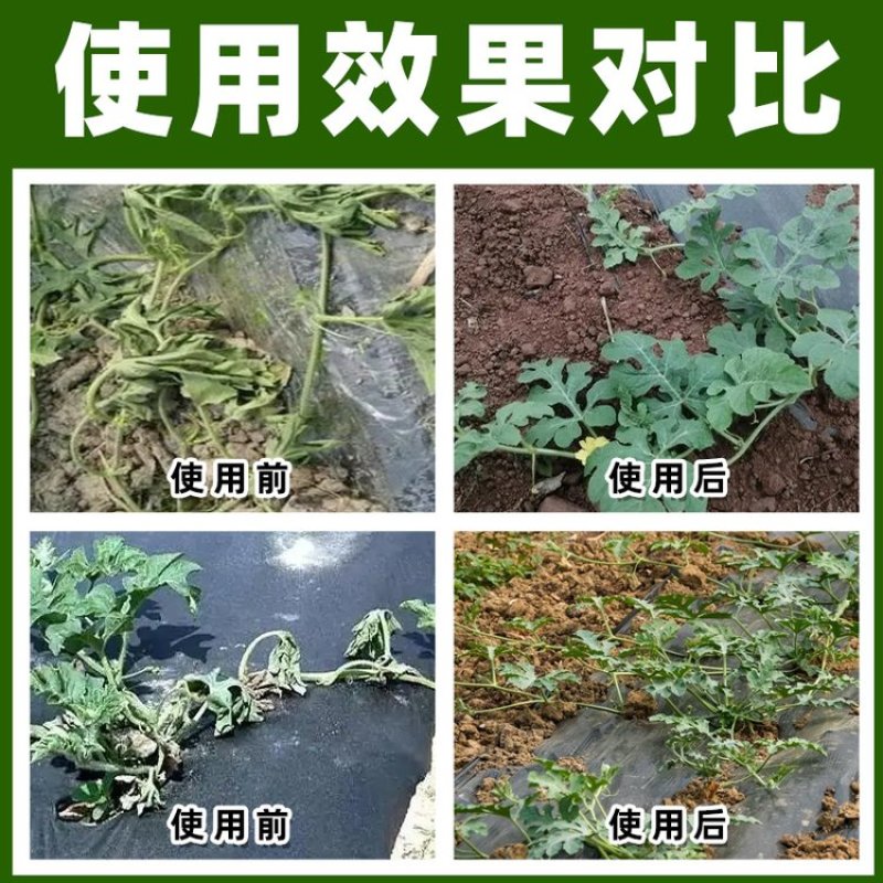 15%络氨铜土传病害杀菌剂正品农药厂家