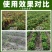 50%氟啶胺专治晚疫病炭疽病高效杀菌剂农药厂家直供