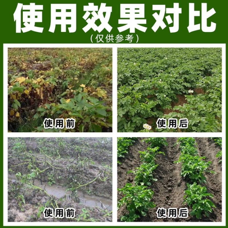 50%氟啶胺专治晚疫病炭疽病高效杀菌剂农药厂家直供