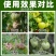 松鹿10%腐霉百菌清灰霉病专用杀菌剂用于番茄西红柿