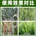 40%丙硫菌唑戊唑醇杀菌剂农药正品厂家直发