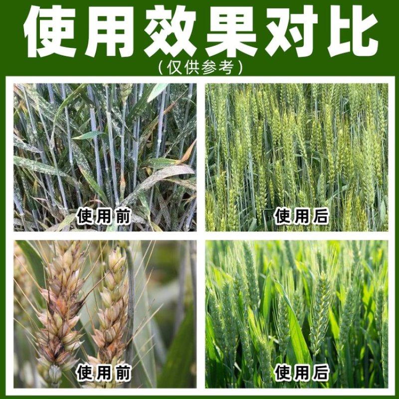 40%丙硫菌唑戊唑醇杀菌剂农药正品厂家直发