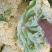 推荐有机花菜松花菜菜花价格实惠运输便利欢迎联系