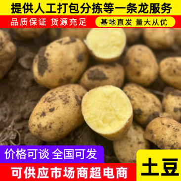 河南沃土5号土豆精品土豆大量供应商超品质全国发货