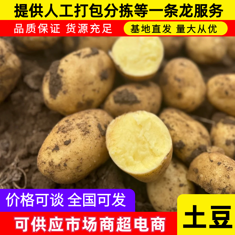河南沃土5号土豆精品土豆大量供应商超品质全国发货