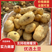 开封土豆通许希森土豆产地一手货源供应市场电商商超