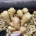 江苏生姜鲜姜保质保量基地直发可视频看货常年供应