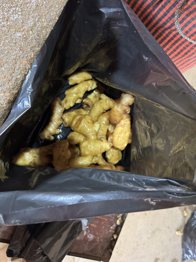 江苏生姜鲜姜保质保量基地直发可视频看货常年供应