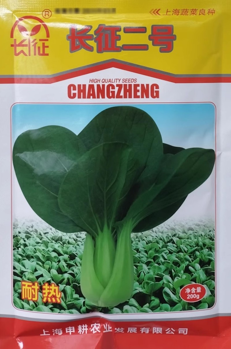 长征二号青梗菜种子200克原装矮箕直立束腰叶柄油绿