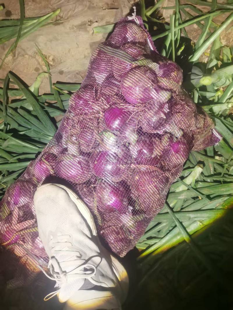 开封洋葱二红洋葱基地直发对接电商市场全国发货