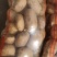 精品土豆黄心土豆沃土/希森/实验一号/v7各种规格